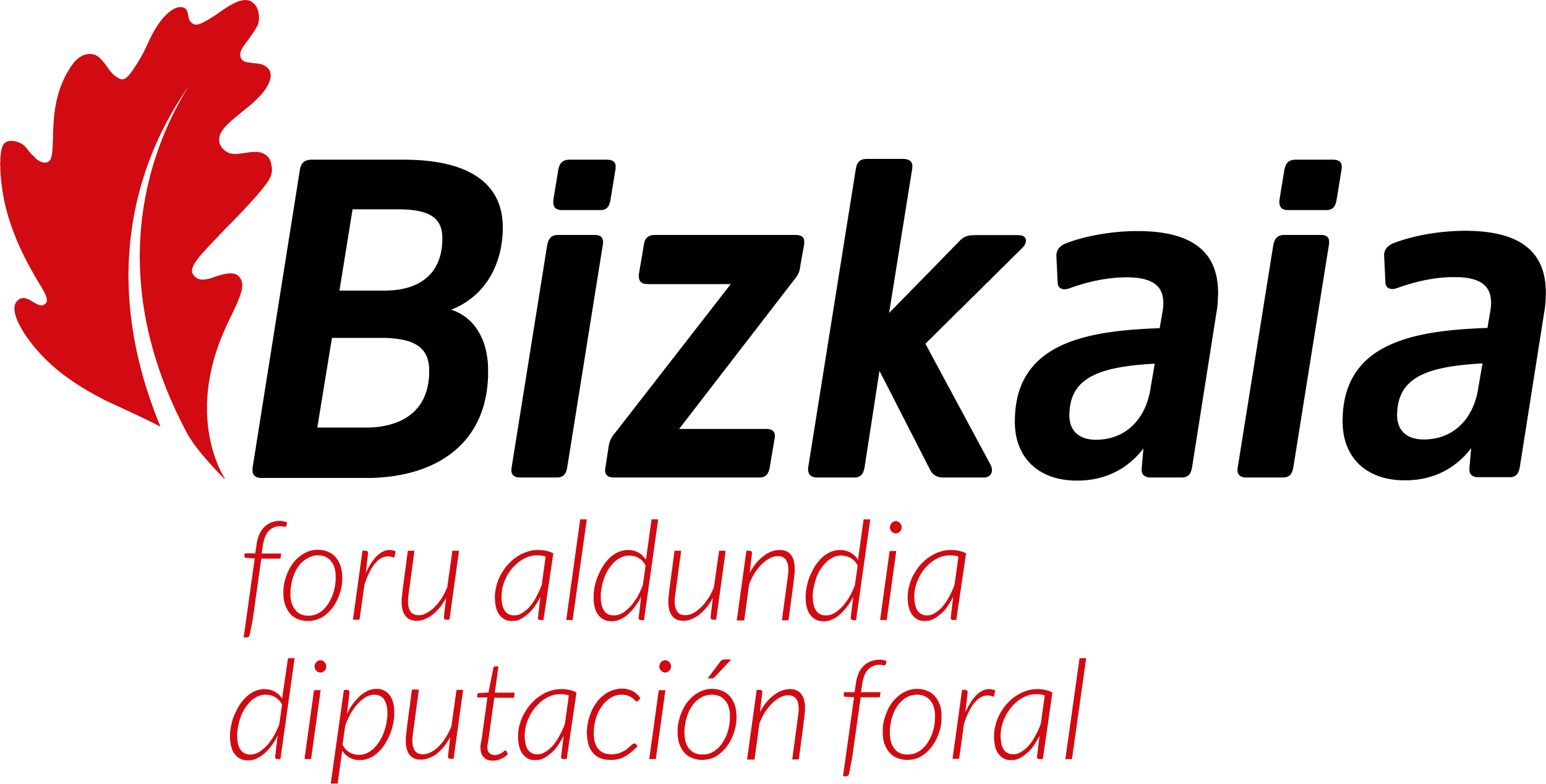 3 ARRIBA LOGO DIPUTACION BIZKAIA_BUENA